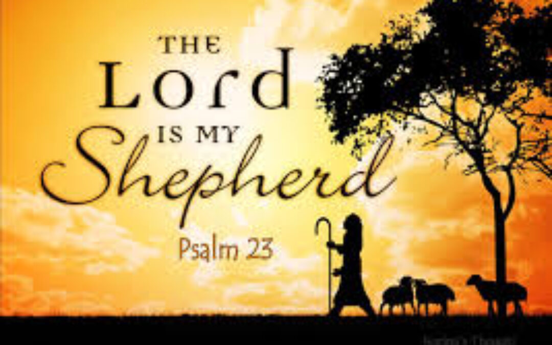 “My Shepherd”