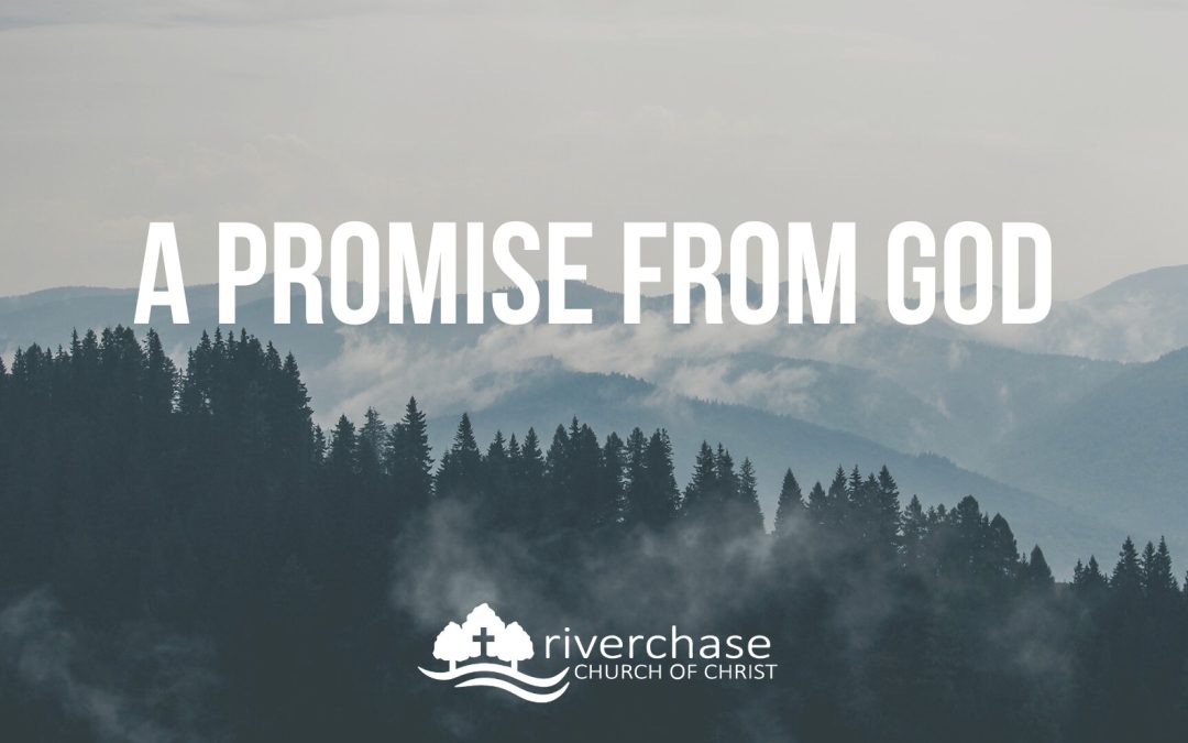 A Promise from God